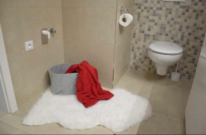 Apartman Lucie Lipno nad Vltavou Ngoại thất bức ảnh
